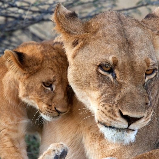 twenty20_53d9bf1f-1020-4cff-9069-47aa21328607 (1)